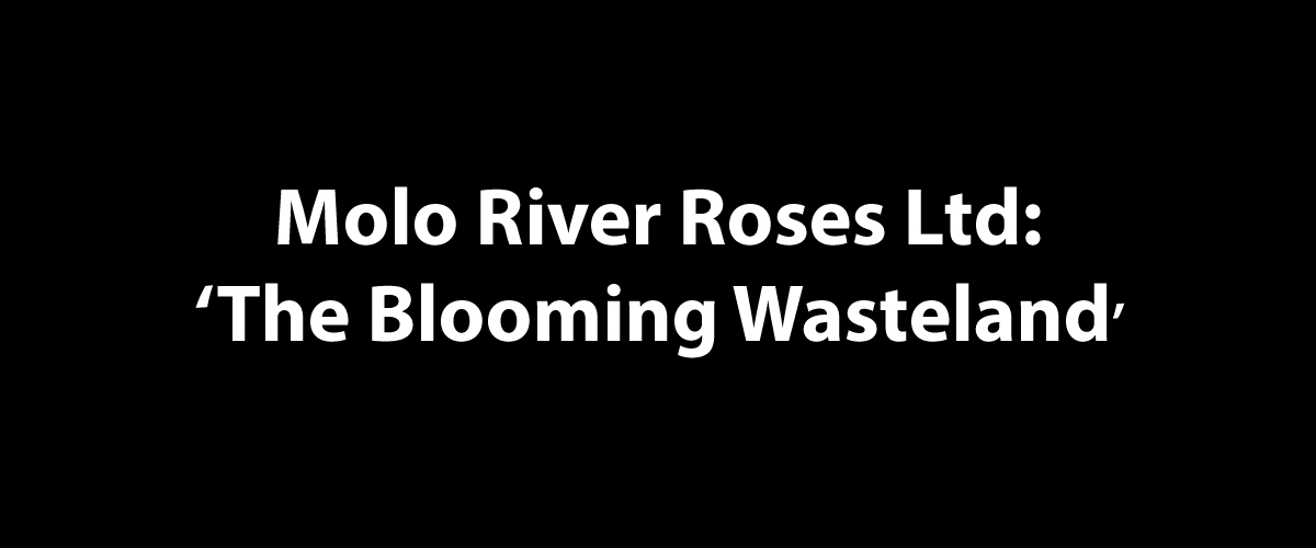 Molo River Roses Ltd: ‘The Blooming Wasteland’