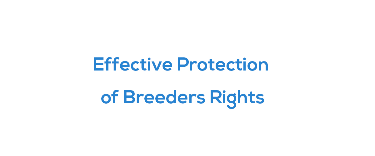 Effective Protection of Breeders Rights 30
